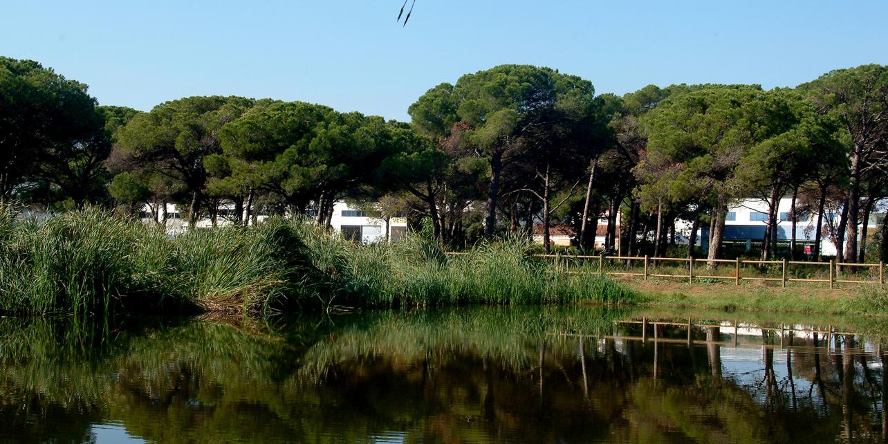 Aiguamolls Can Cabanyes a Granollers
